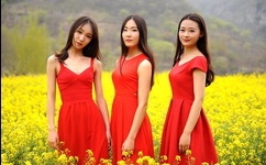 A片日本人妻偷人妻人妻